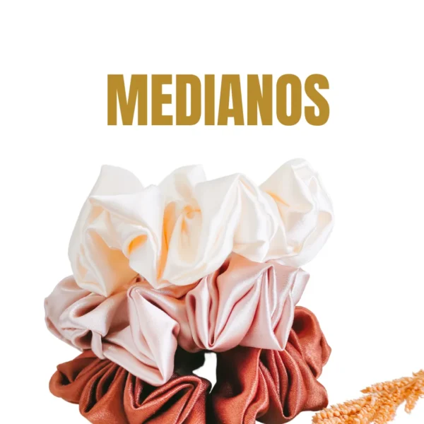 SCRUNCHIES EN SATÍN MEDIANO (UNIDAD)