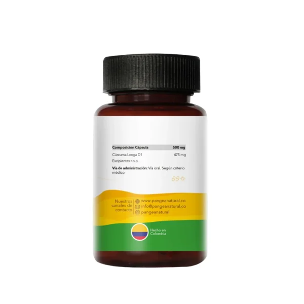 CURCUMA PANGEA NATURAL - Imagen 2
