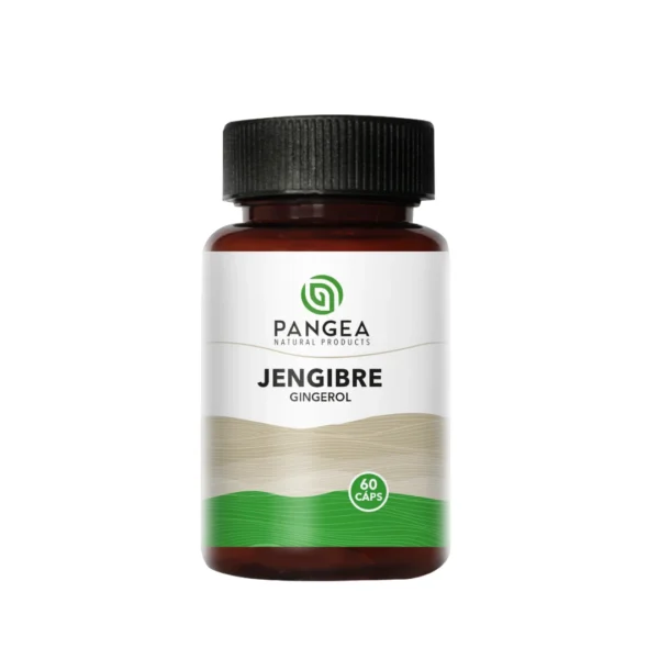 JENGIBRE PANGEA NATURAL